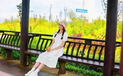 chinese帅哥十八飞机